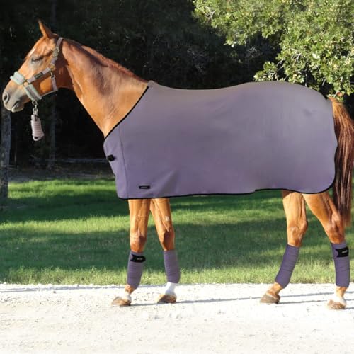 Set Decke, Halfter, Longhina, Stirnbänder, Pferdehalfter, Pferdelänge, vielseitige Pferdedecke, bequeme Arbeitsbänder für Equestri Bedürfnisse (Lila, 120 cm) von Horses