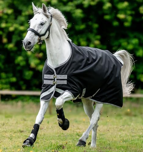 Amigo® Bravo 12 Original Turnout (250 g Medium) von Horseware