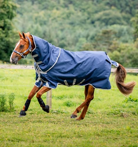Amigo® Bravo 12 Plus Turnout (0g leicht) von Horseware