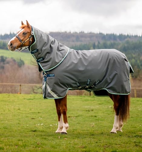 Amigo® Bravo 12 Plus Turnout (400g schwer) von Horseware