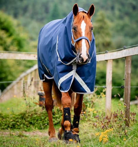 Amigo 1200D Plus Turnout 50g von Horseware