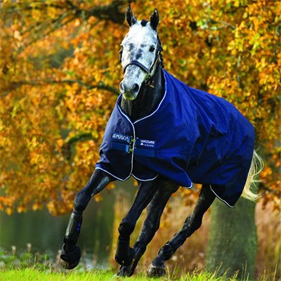 Amigo Bravo 12 Turnout lite (140) von Horseware