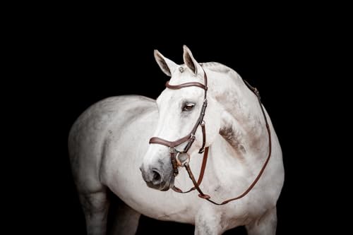 HW Micklem2 Competition Bridle, Pony, Dark Havanna von Horseware