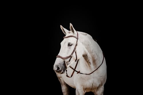 HW Micklem2 Deluxe Competition Bridle, Pony, Dark Havanna von Horseware