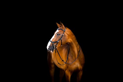 HW Micklem2 Deluxe Competition Bridle, Pony, schwarz HW Micklem2 Deluxe Competition Bridle, Pony, schwarz von Horseware