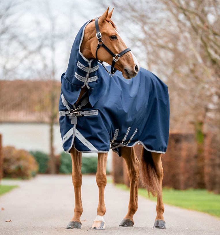 Horseware Amigo 100g 1200D Plus Turnout mit Halsteil Navy/Titanium Grey & Silver, 160 cm Horseware Amigo 100g 1200D Plus Turnout mit Halsteil Navy/Titanium Grey & Silver, 160 cm von Horseware