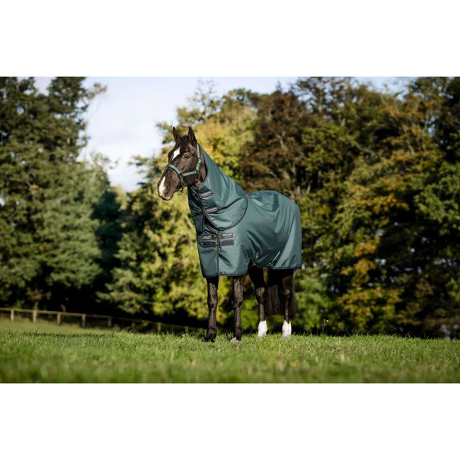 Horseware Amigo 100g Ripstop 900D Plus Turnout 145 cm, Dynasty Green/Navy & Silver Horseware Amigo 100g Ripstop 900D Plus Turnout 145 cm, Dynasty Green/Navy & Silver von Horseware