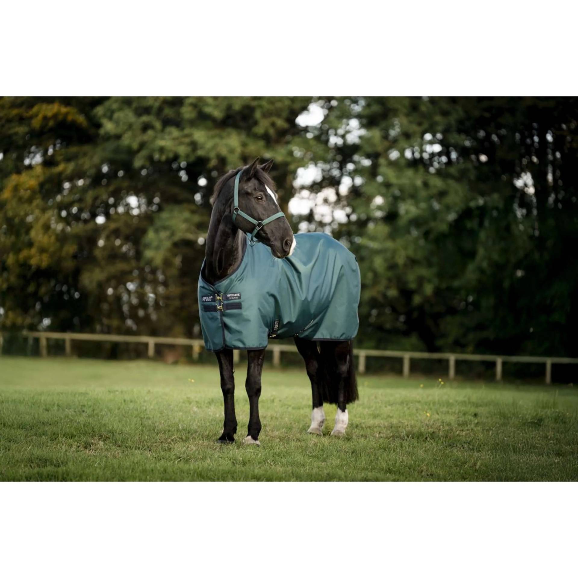 Horseware Amigo 100g Ripstop 900D Turnout Dynasty Green/Navy & Silver, Gr. 115 cm Horseware Amigo 100g Ripstop 900D Turnout Dynasty Green/Navy & Silver, Gr. 115 cm von Horseware