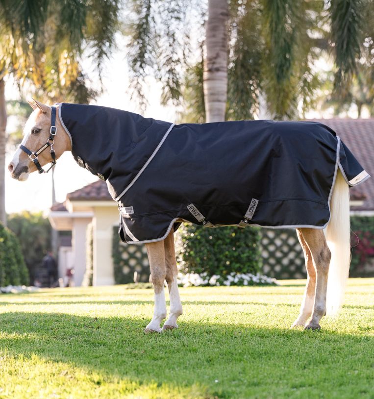 Horseware Amigo 1200D Plus Pony Turnout 0g Black/Titanium Grey & Silver, Gr. 90 cm Horseware Amigo 1200D Plus Pony Turnout 0g Black/Titanium Grey & Silver, Gr. 90 cm von Horseware