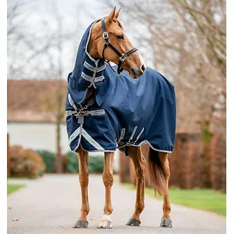 Horseware Amigo 1200D Plus Turnout 50g mit Halsteil Navy/Titanium Grey & Silver, 160 cm Horseware Amigo 1200D Plus Turnout 50g mit Halsteil Navy/Titanium Grey & Silver, 160 cm von Horseware