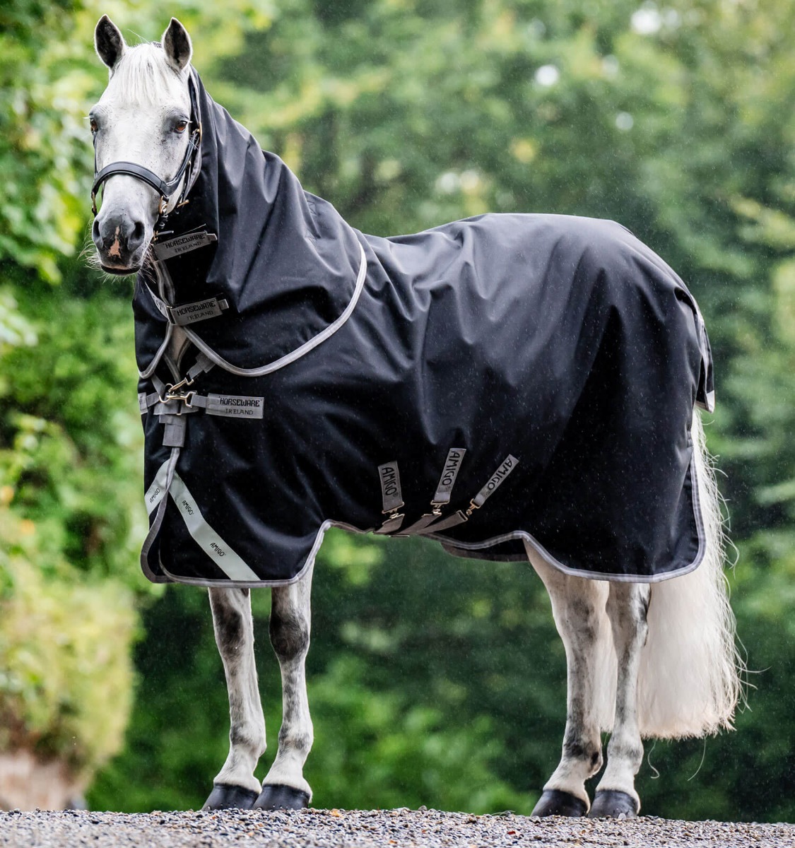 Horseware Amigo 1200D Plus Turnout Bundle  (50g + 100g + 200g) Black/Titanium Grey & Silver, Gr. 145 cm von Horseware