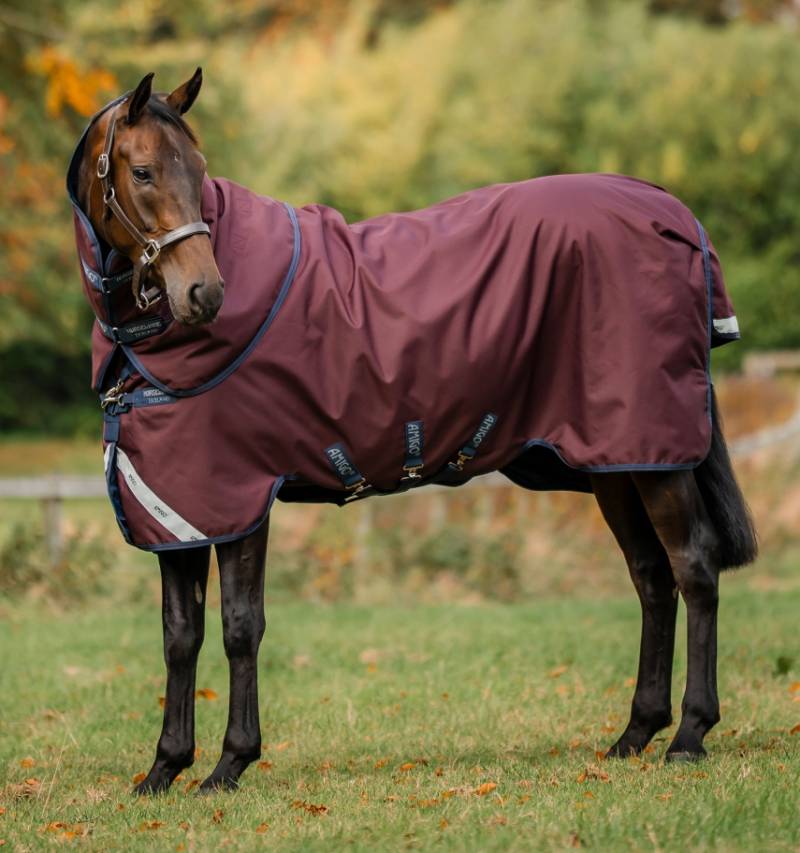 Horseware Amigo 1200D Plus Weidedecke 100g Burgundy/Navy & Titanium Grey, Gr. 160 cm von Horseware