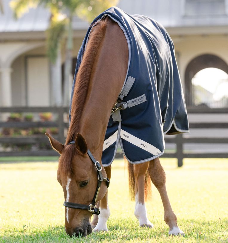Horseware Amigo 1200D Turnout 250g Navy/Titanium Grey & Silver, Gr. 165 cm Horseware Amigo 1200D Turnout 250g Navy/Titanium Grey & Silver, Gr. 165 cm von Horseware