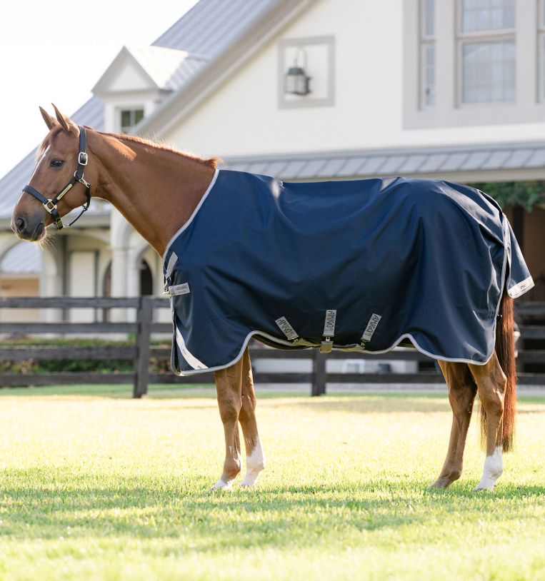 Horseware Amigo 1200D Turnout 50g  Navy/Titanium Grey & Silver, Gr. 140 cm von Horseware