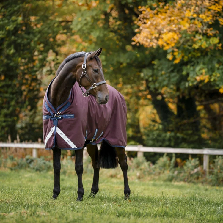 Horseware Amigo 1200D Turnout Weidedecke 250g Burgundy/Navy & Titanium Grey, Gr. 125 cm von Horseware