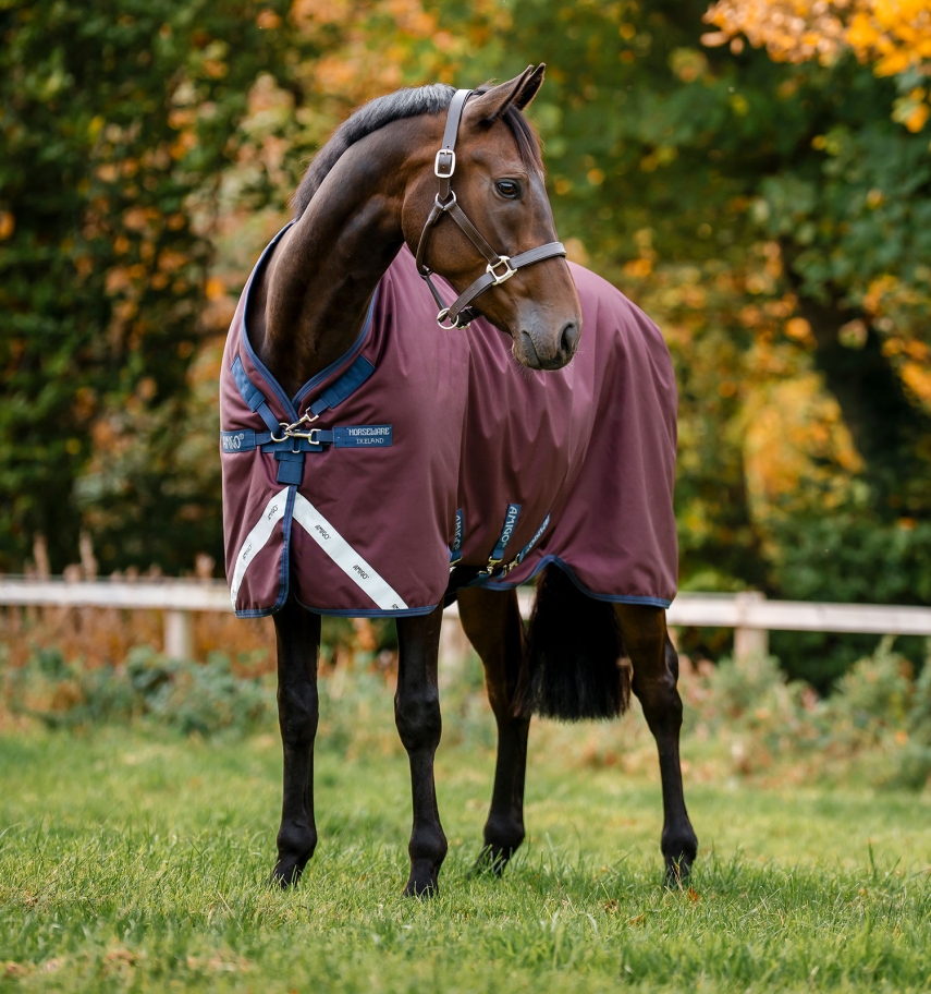 Horseware Amigo 1200D Weidedecke 100g Burgundy/Navy & Titanium Grey, Gr. 130 cm Horseware Amigo 1200D Weidedecke 100g Burgundy/Navy & Titanium Grey, Gr. 130 cm von Horseware