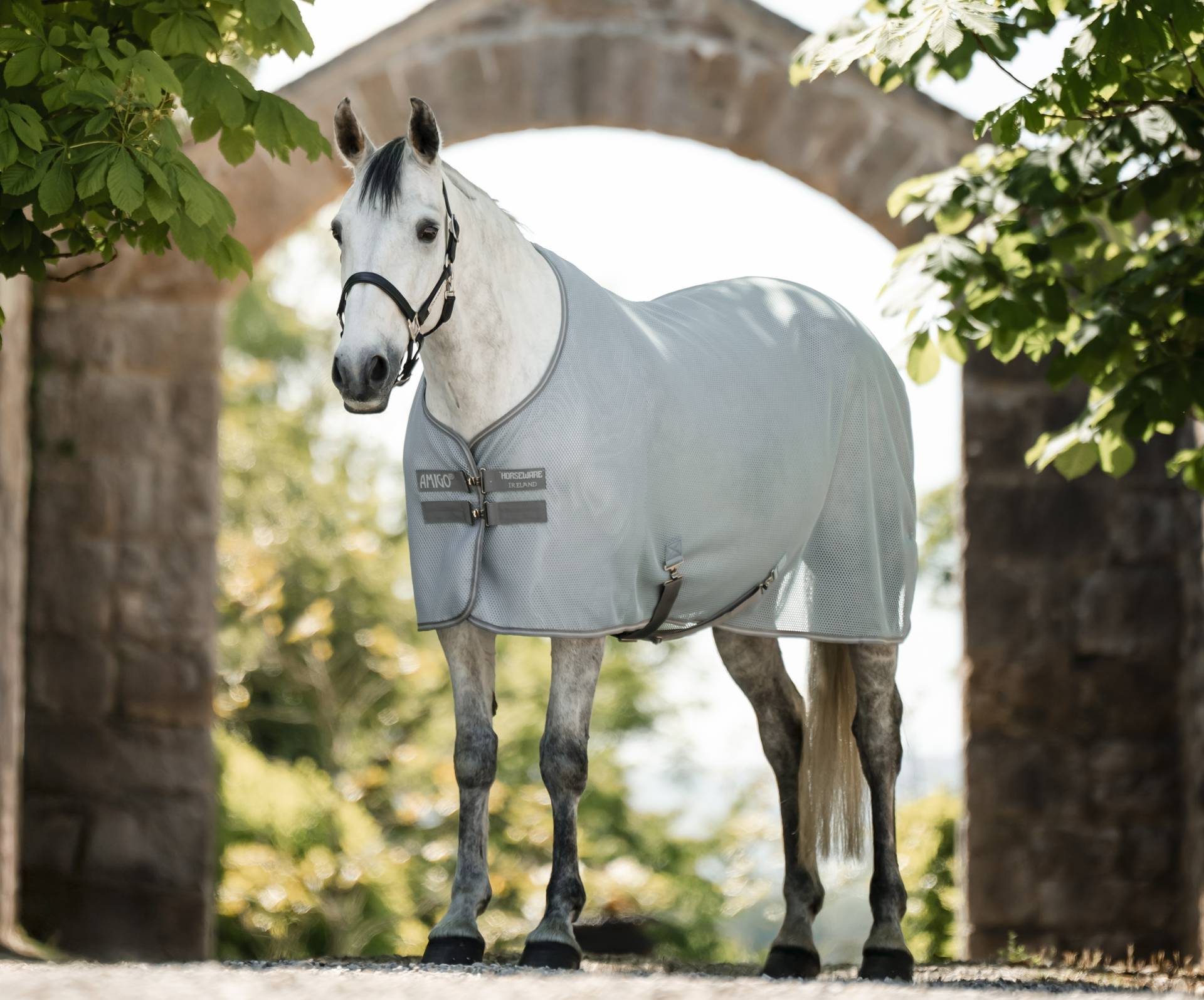 Horseware Amigo AirNet Abschwitzdecke Heather Blue/Titanium Grey & Silver, Gr. 130 cm Horseware Amigo AirNet Abschwitzdecke Heather Blue/Titanium Grey & Silver, Gr. 130 cm von Horseware
