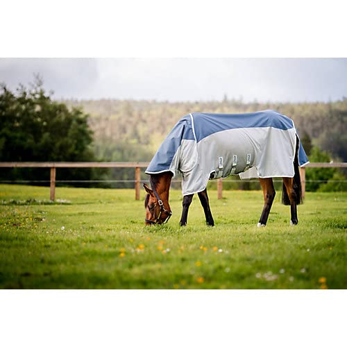 Horseware Amigo Ameco Combi Fliegendecke 75 Teal/Grau Horseware Amigo Ameco Combi Fliegendecke 75 Teal/Grau von Horseware