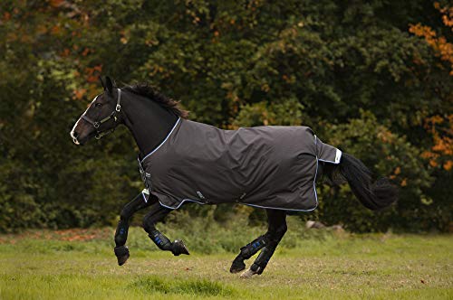 Horseware Amigo Bravo 12 100g Weichenteppich 130cm Excalibur/Blue & Black Horseware Amigo Bravo 12 100g Weichenteppich 130cm Excalibur/Blue & Black von Horseware