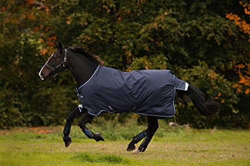 Horseware Amigo Bravo 12 Turnout Medium 250g - Navy/Blue/Strong Blue & Black Horseware Amigo Bravo 12 Turnout Medium 250g - Navy/Blue/Strong Blue & Black von Horseware