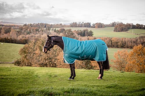 Horseware Amigo Bravo Turnout 12 Wug lite Storm Green Größe wählbar (130) von Horseware