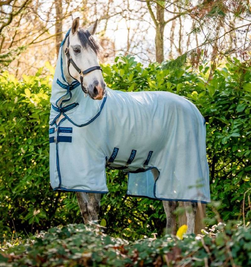 Horseware Amigo Bug Buster Fliegendecke 155 cm, Azure Blue/ Navy & Electric Blue Horseware Amigo Bug Buster Fliegendecke 155 cm, Azure Blue/ Navy & Electric Blue von Horseware