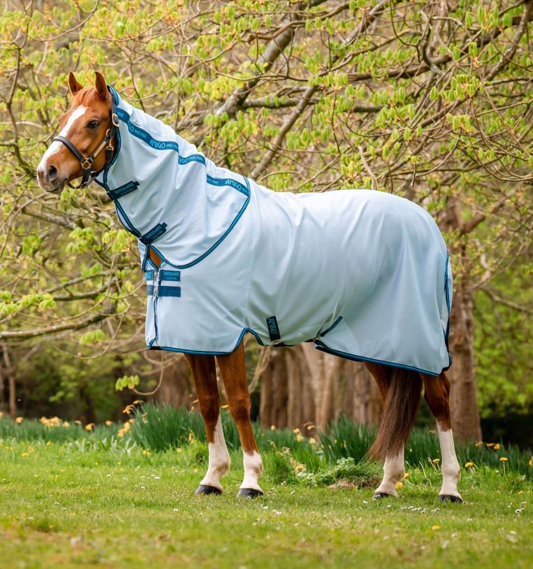 Horseware Amigo Bug Rug Fliegendecke Pony 75 cm, Azure Blue/ Navy & Blue Horseware Amigo Bug Rug Fliegendecke Pony 75 cm, Azure Blue/ Navy & Blue von Horseware