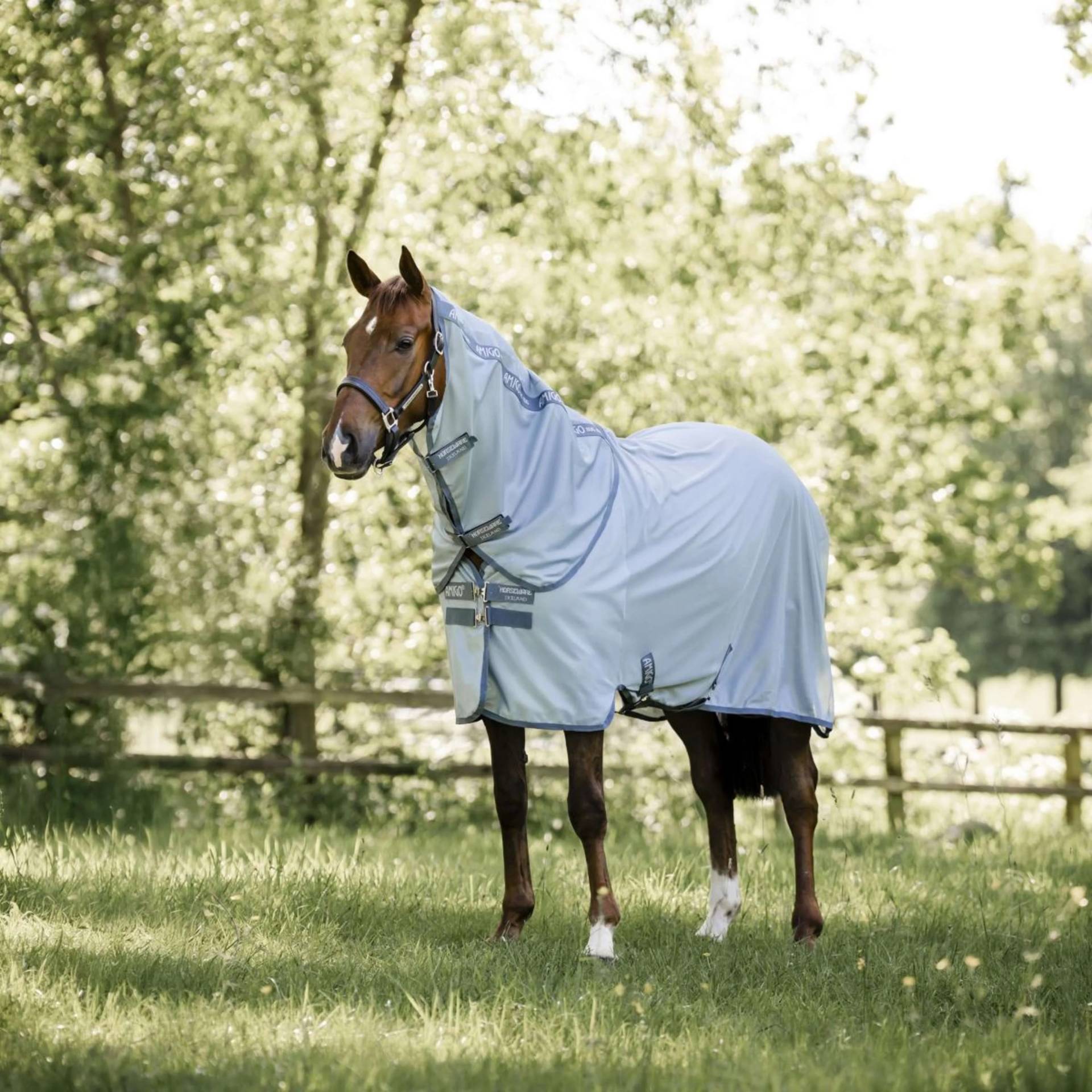 Horseware Amigo Bug Rug Plus Fliegendecke Heather Blue/Blue & Silver / 145 cm Horseware Amigo Bug Rug Plus Fliegendecke Heather Blue/Blue & Silver / 145 cm von Horseware