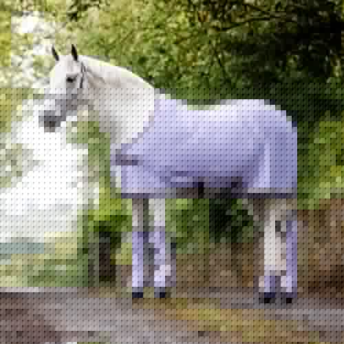 Horseware Amigo Jersey Cooler, Größe:160 cm / 7'0, Farbe:Lavender/Plum von Horseware