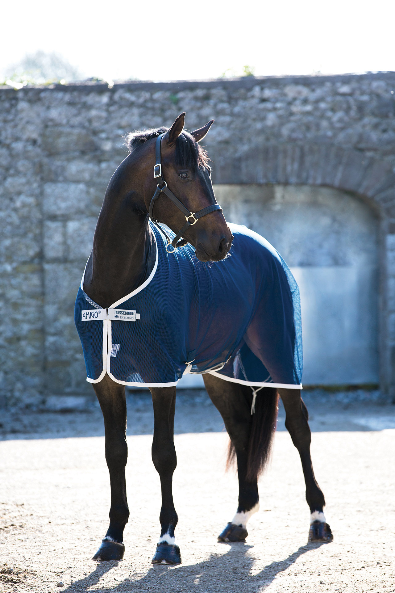 Horseware Amigo Net Cooler Fliegendecke 125 cm, Navy/ Silver Horseware Amigo Net Cooler Fliegendecke 125 cm, Navy/ Silver von Horseware