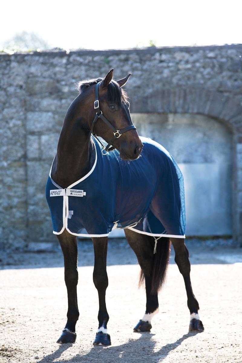 Horseware Amigo Net Cooler Fliegendecke 125 cm, Navy/ Silver Horseware Amigo Net Cooler Fliegendecke 125 cm, Navy/ Silver von Horseware