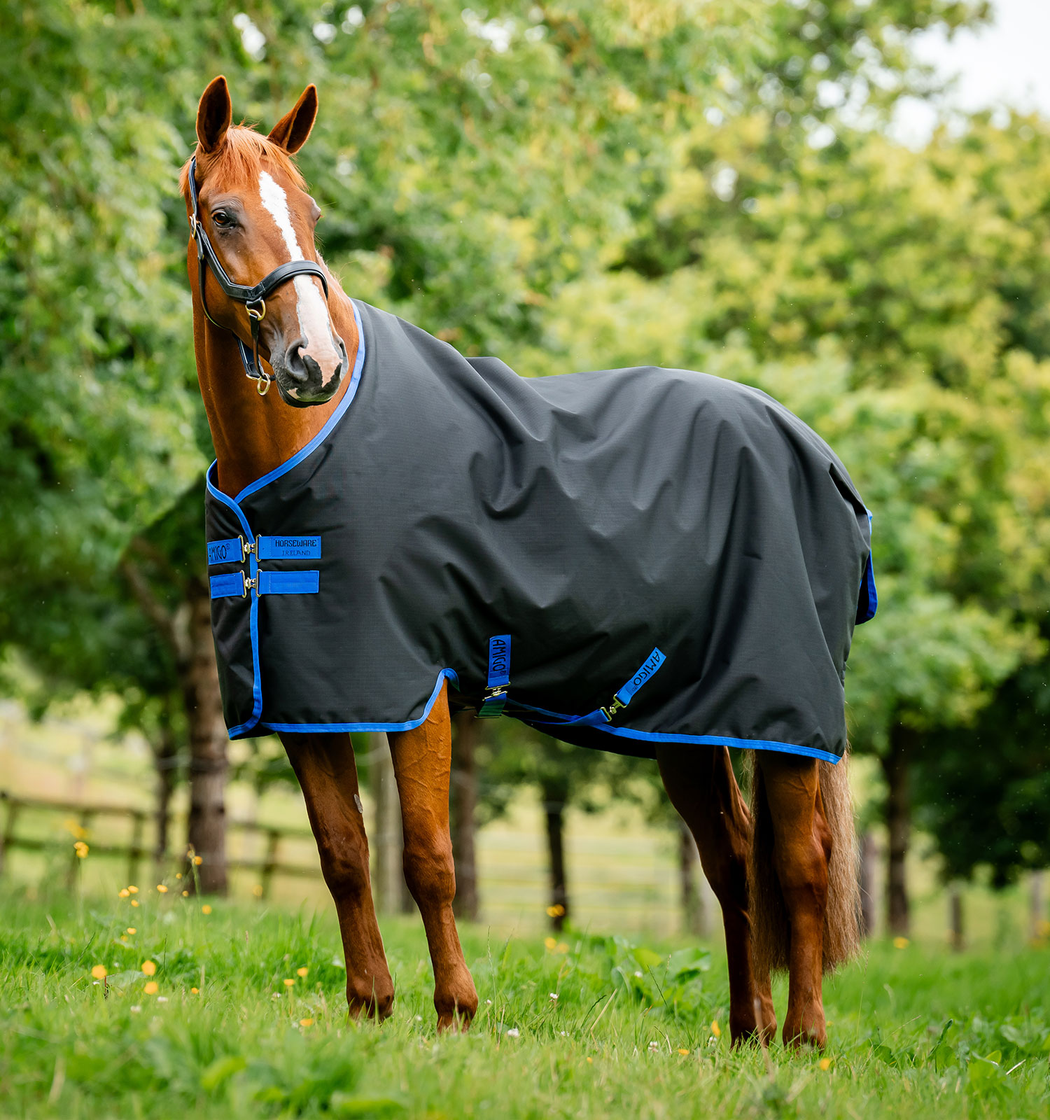 Horseware Amigo Ripstop 900D Fleece Lined Turnout 50g Black/Classic Blue, Gr. 160 cm von Horseware