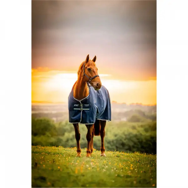 Horseware Amigo Ripstop 900D Plus Turnout 0g Witney Navy, Gr. 155 cm von Horseware