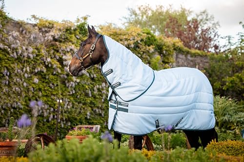 Horseware Amigo Stable Plus Plant Dye 200g, Größe:125 cm / 5'9, Farbe:Blue/Navy Horseware Amigo Stable Plus Plant Dye 200g, Größe:125 cm / 5'9, Farbe:Blue/Navy von Horseware