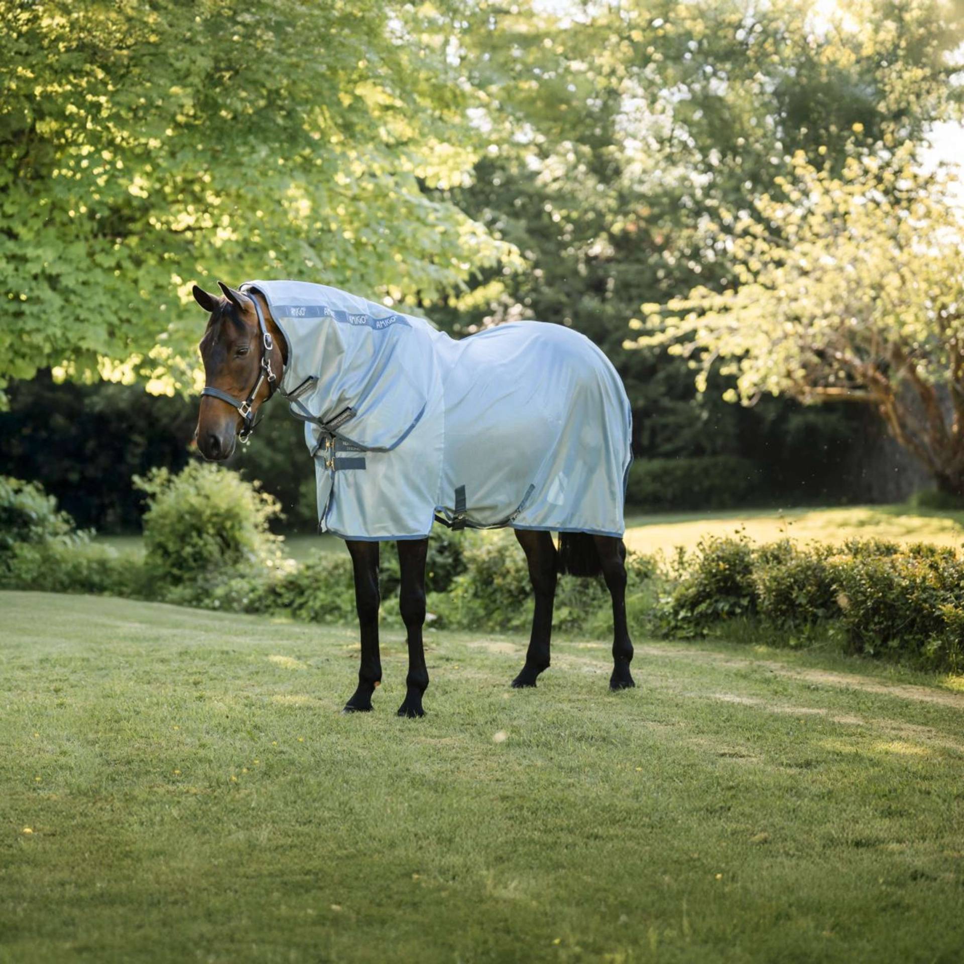 Horseware Amigo integrated Fliegendecke Heather Blue/Blue & Silver / 140 cm Horseware Amigo integrated Fliegendecke Heather Blue/Blue & Silver / 140 cm von Horseware