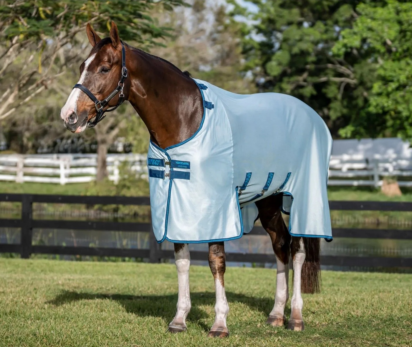 Horseware Fliegendecke Amigo Bug Buster Azure Blue/Navy & Blue/ 140 cm (6'3") von Horseware