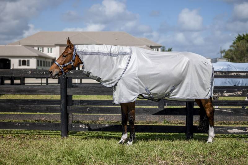 Horseware Fliegendecke Amigo Bug Rug Plus Silver/Titanium Grey & Silver/ 140 cm (6'3") von Horseware
