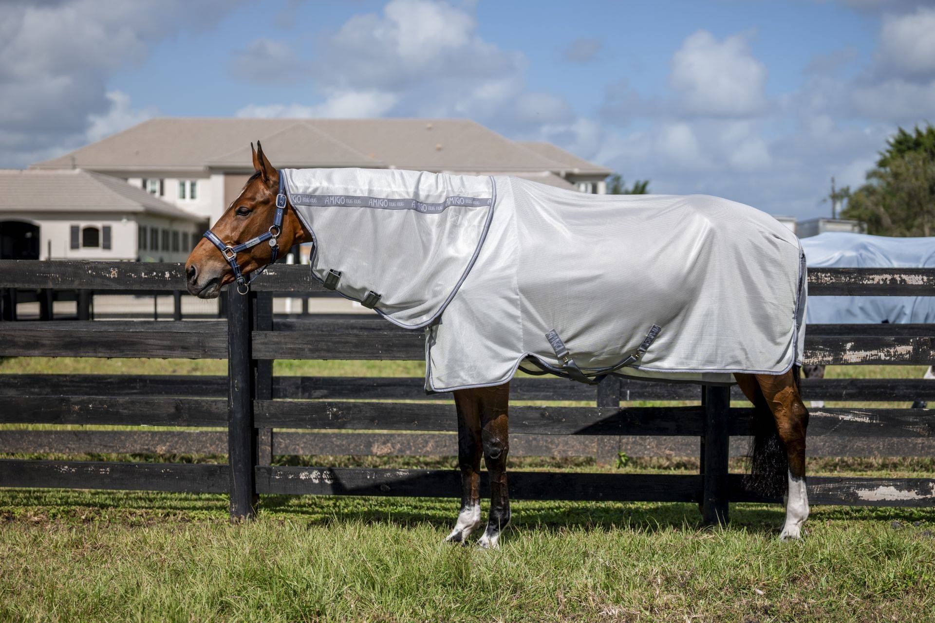 Horseware Fliegendecke Amigo Bug Rug Plus Silver/Titanium Grey & Silver/ 160 cm (7'0") von Horseware