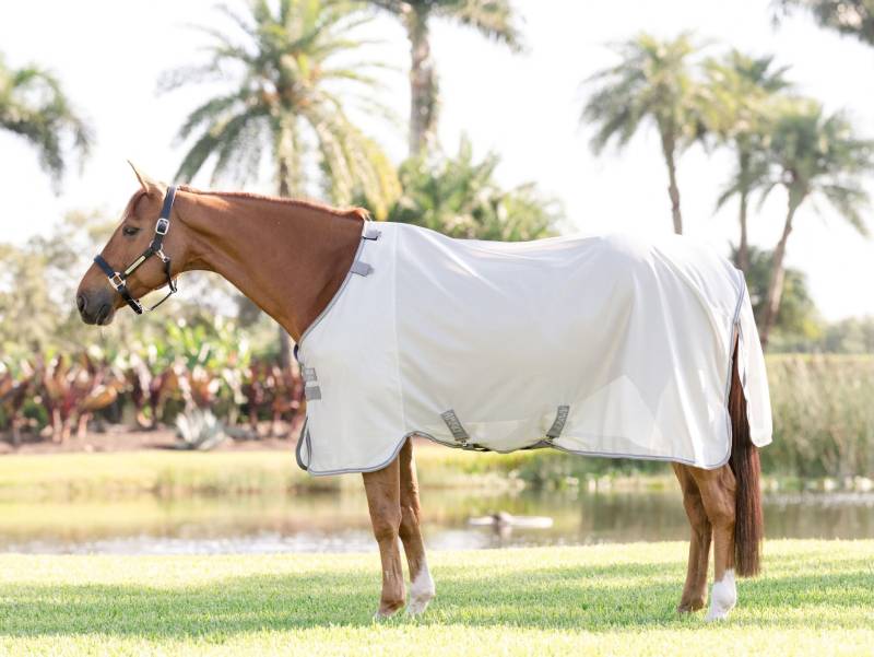 Horseware Fliegendecke Amigo Bug Rug Silver/Titanium Grey & Silver/ 155 cm (6'9") von Horseware