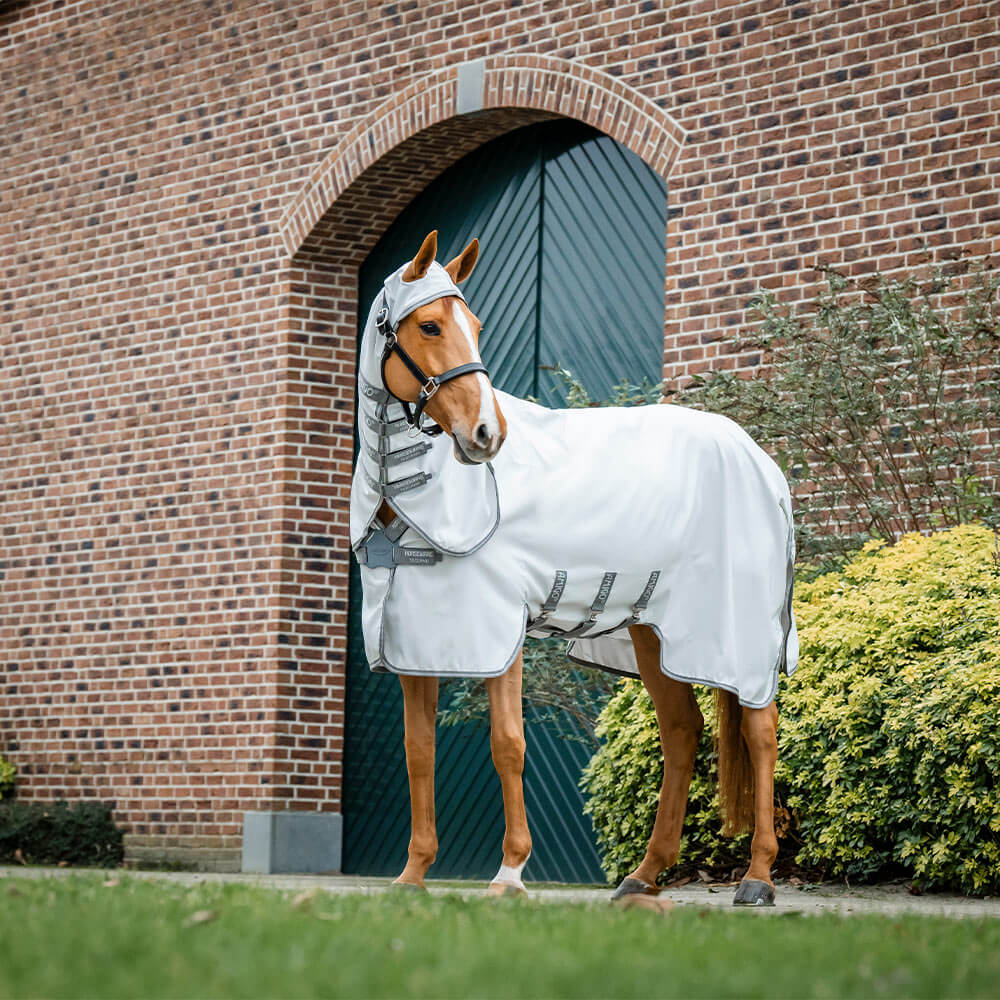 Horseware Fliegendecke Amigo Ripstop Hoody Silver/Titanium Grey & Silver/ 160 cm (7'0") von Horseware