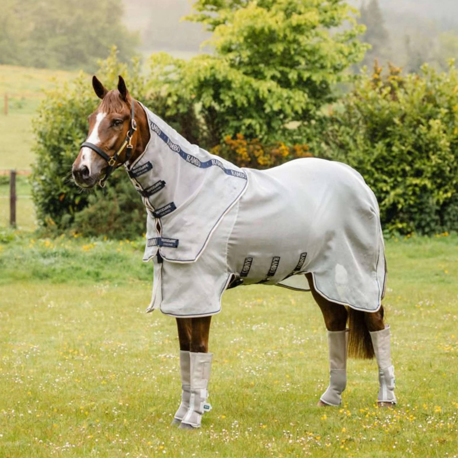 Horseware Fliegendecke Rambo Protector Integrated Silver/Navy, White & Beige/ 130 cm (6'0") von Horseware