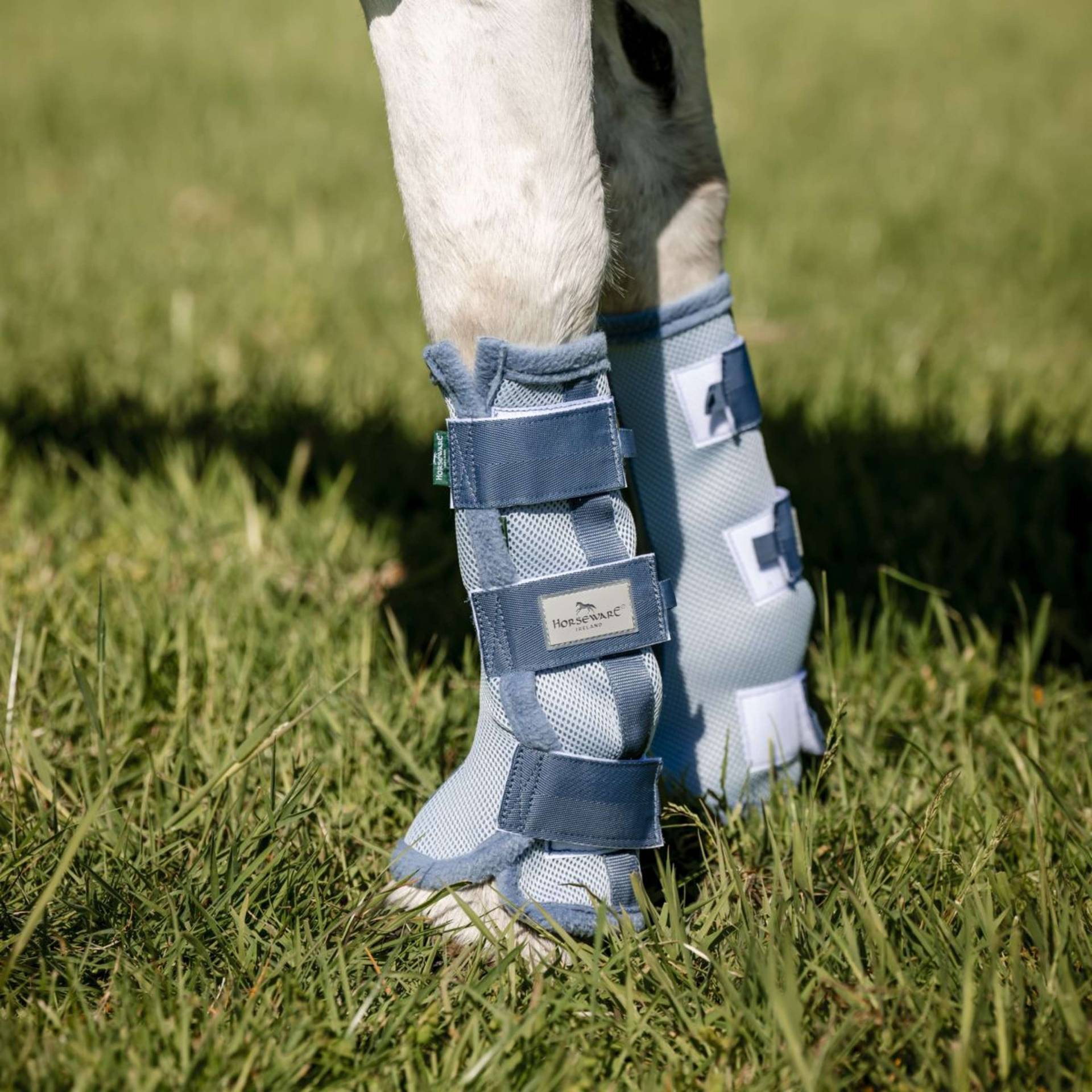 Horseware Fliegengamaschen (2er Set) Heather Blue/Blue & Silver / Pony von Horseware