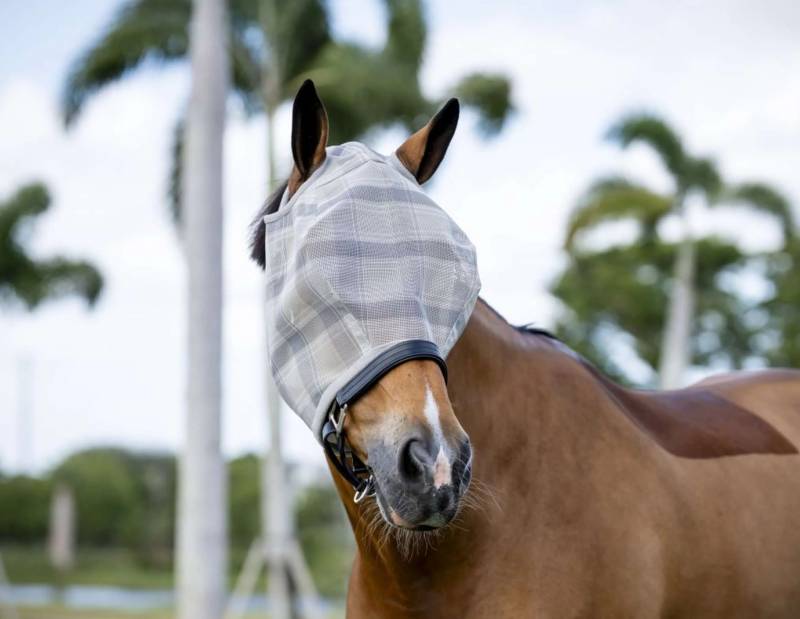 Horseware Fliegenmaske Newmarket No Ears Witney Charcoal, Pony Horseware Fliegenmaske Newmarket No Ears Witney Charcoal, Pony von Horseware