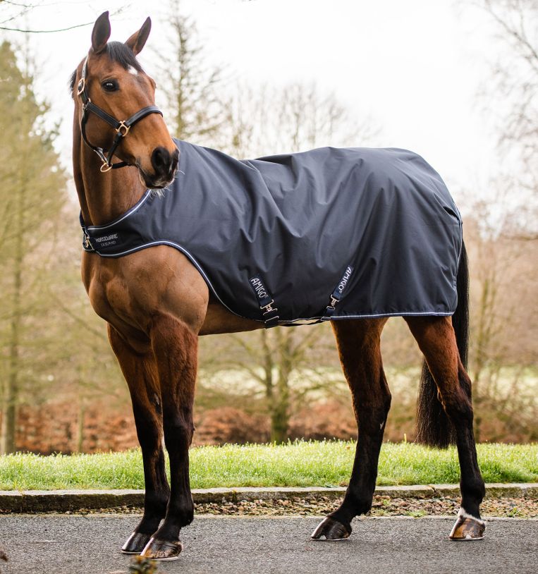Horseware Führanlagendecke Amigo Walker 100g Navy/ Navy & White, Gr. Medium (130 - 140 cm) von Horseware