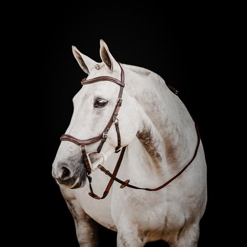 Horseware HW Micklem2 Deluxe Competition Bridle, vollblut, Dark Havanna Horseware HW Micklem2 Deluxe Competition Bridle, vollblut, Dark Havanna von Horseware