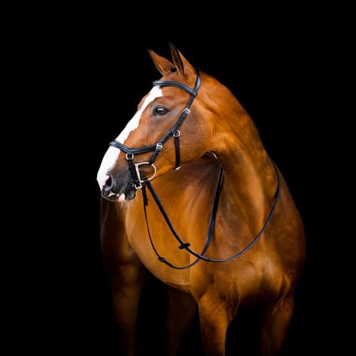 Horseware HW Micklem2 Deluxe Competition Bridle, x-warmblut, schwarz Horseware HW Micklem2 Deluxe Competition Bridle, x-warmblut, schwarz von Horseware