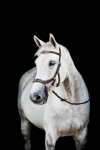 Horseware HW Micklem2 Multi Bridle, X-Warmblut, Dark Havanna Horseware HW Micklem2 Multi Bridle, X-Warmblut, Dark Havanna von Horseware
