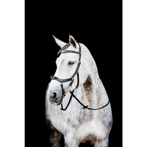 Horseware HW Micklem2 Multi Bridle, X-Warmblut, Schwarz von Horseware