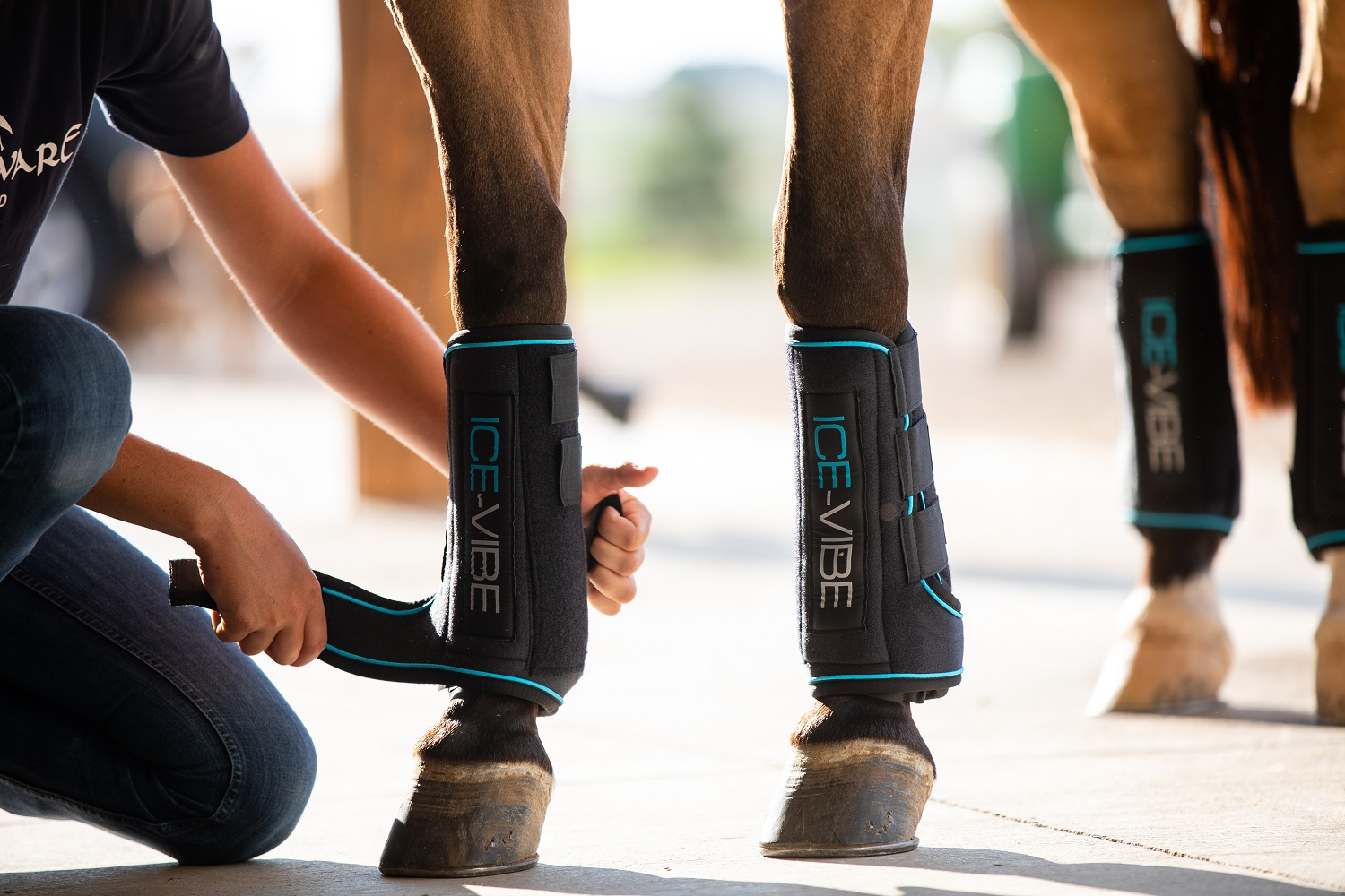 Horseware Ice-Vibe Therapiegamaschen Boot Schwarz, Gr. Extra Full/ X-Wb von Horseware
