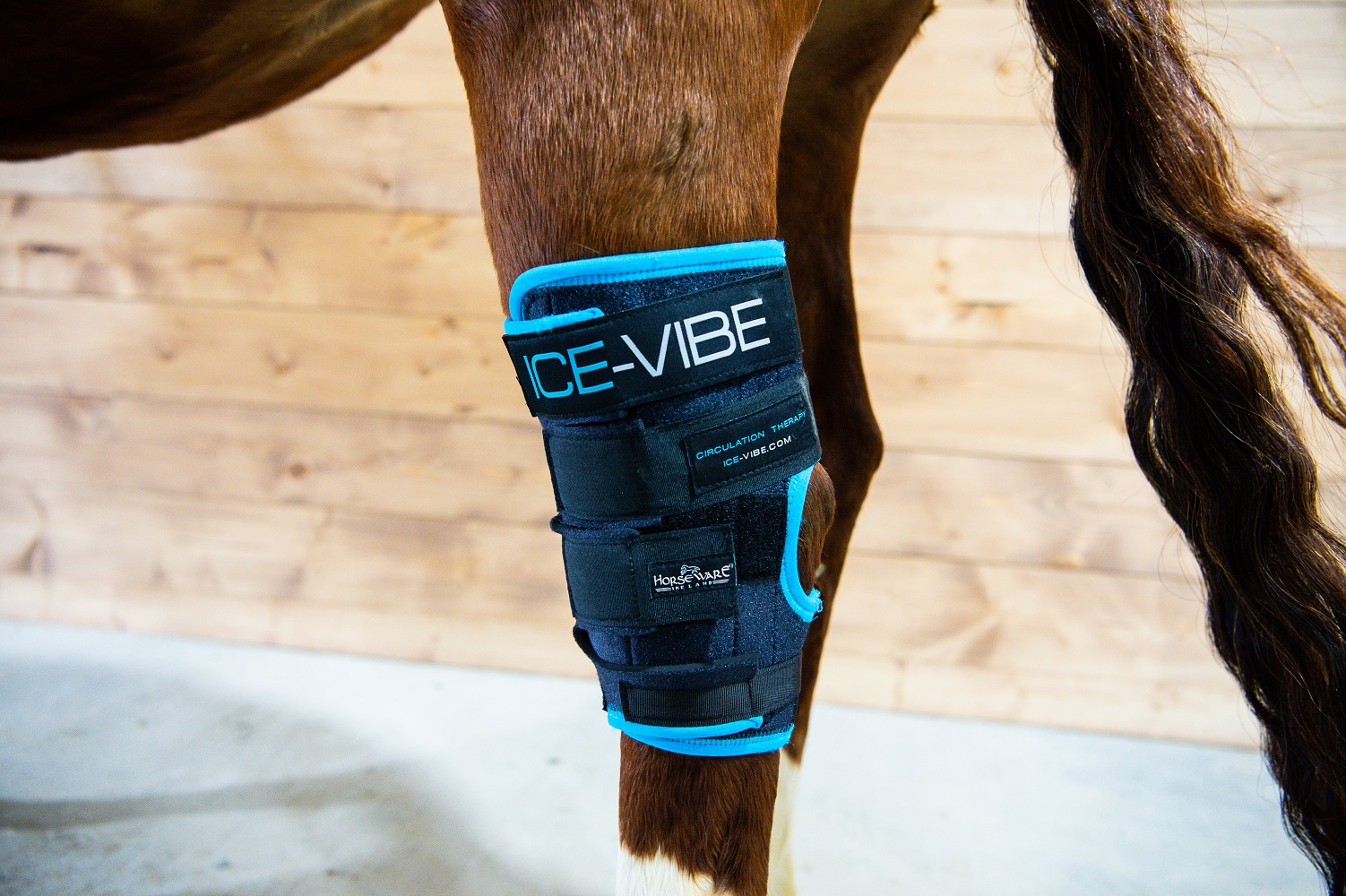 Horseware Ice-Vibe Therapiegamaschen Hock Wrap Schwarz, Gr. Full/ Wb von Horseware